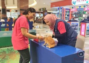 SmartHeart Ajak Kaum Perempuan Rawat Anabul Agar Tumbuh Sehat
